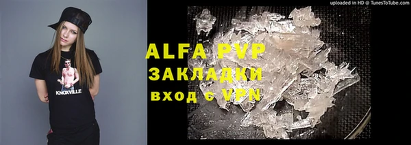 стаф Алексин