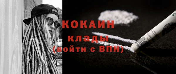 стаф Алексин