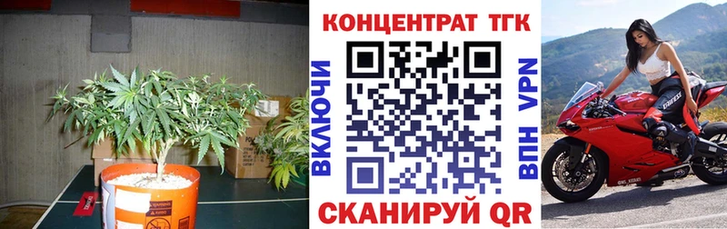 Дистиллят ТГК Wax  Ковров 