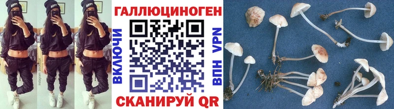 Псилоцибиновые грибы Psilocybe  цены наркотик  Ковров 